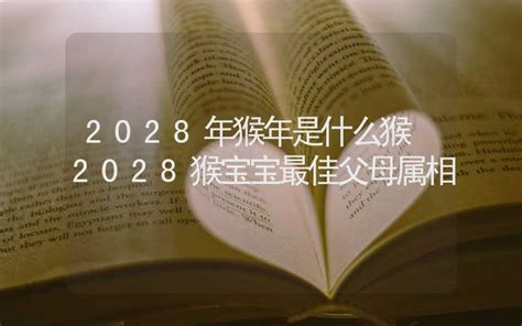 2028是什么年|2028年是什么年